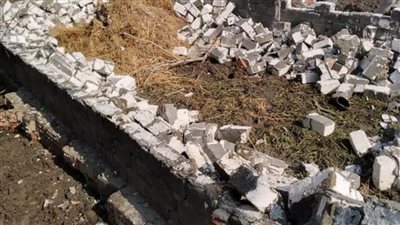 إزالة 31 حالة تعدٍ على الأراضي الزراعية وأملاك الدولة بالدقهلية