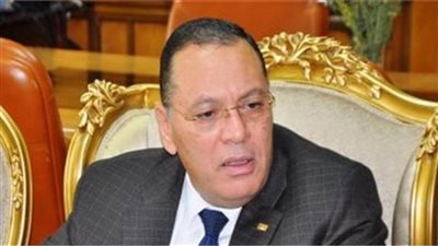 محافظ الشرقية: توزيع ألفين كرتونة غذائية على العمالة غير المنتظمة