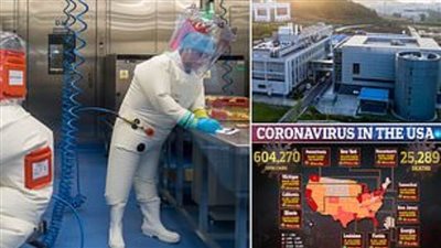 سر برقية دبلوماسية تجاهلتها الادارة الامريكية فى ظهور فيروس كورونا