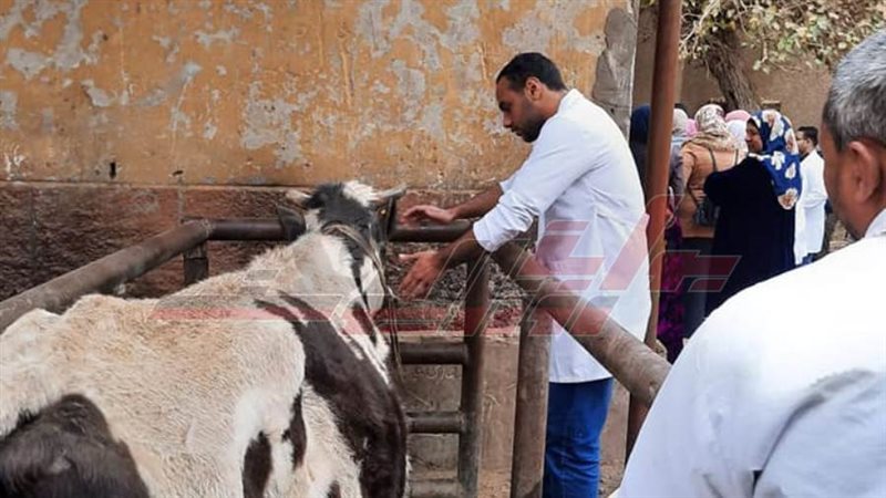 جانب من القافلة