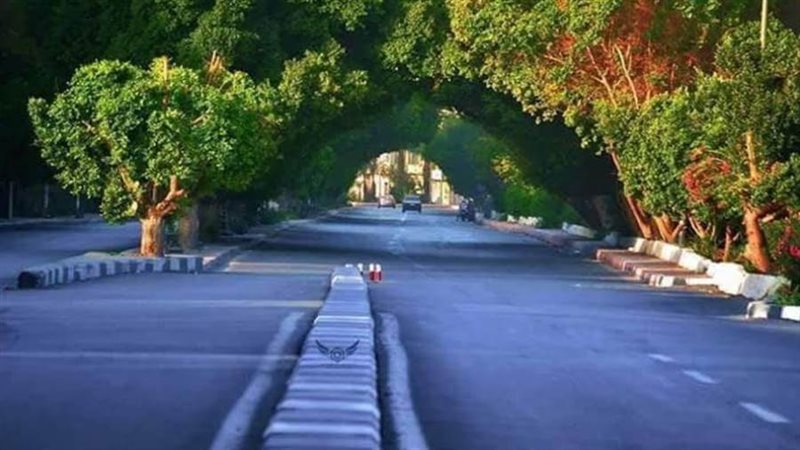 بوابة روز اليوسف