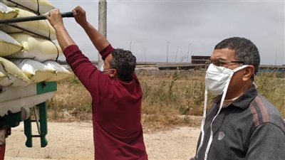 انطلاق موسم بشائر الخير وتخزين الأقماح بالإسكندرية