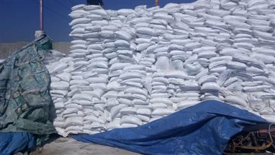 صحة الشرقية: غلق مصنع ملح غير مرخص 