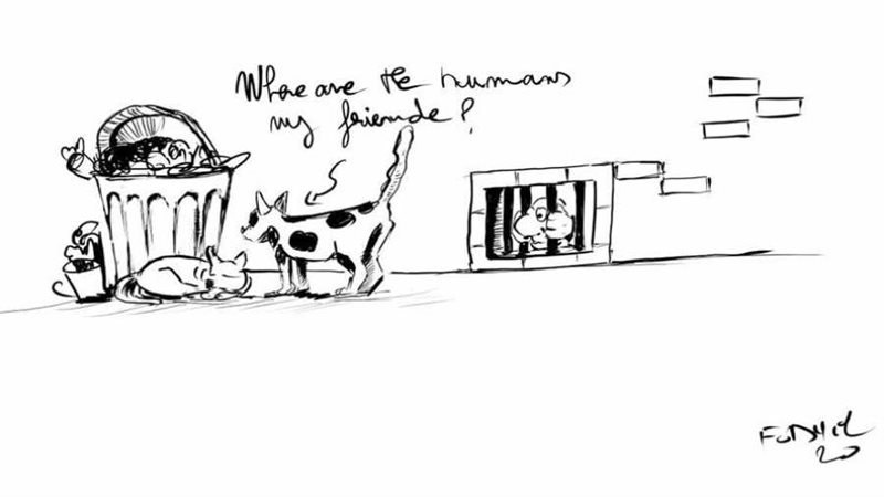 بوابة روز اليوسف