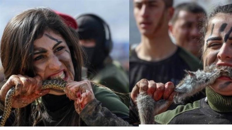 كرديات تأكلن الثعابين