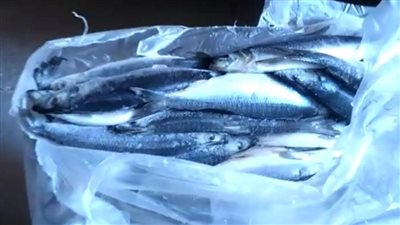 مباحث التموين تضبط 1189قضية خلال يوم واحد