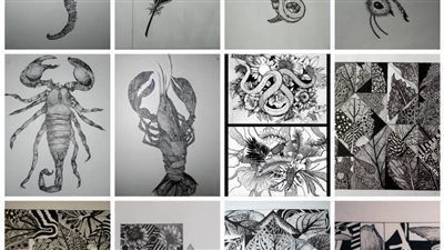 إبداعات طلاب التربية الفنية تكسر الحواجز 