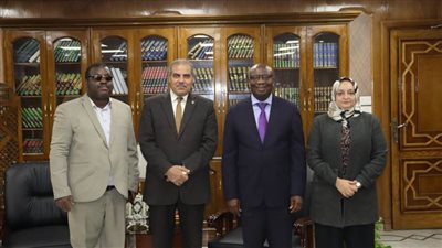 المحرصاوي: نسعى لنشر بنود وثيقة 