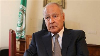 أبو الغيط يبحث مع أمين عام 