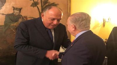 شكري يؤكد حرص مصر على أمن واستقرار العراق الشقيق