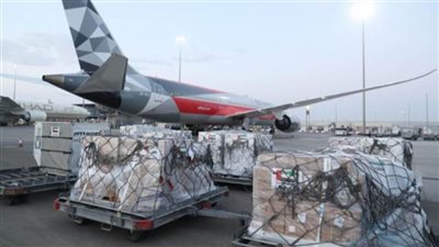 طائرة مساعدات إماراتية تصل موريتانيا لدعمها في مواجهة كورونا