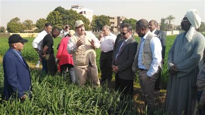 برنامج الأغذية العالمي يدعم صغار المزارعين بالصعيد  