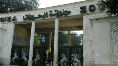 زيارة خاصة للمتحف الحيواني بحديقة الجيزة وأنت في منزلك