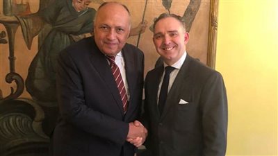 شكري يبحث مع مستشار الأمن القومي البريطاني القضايا الإقليمية