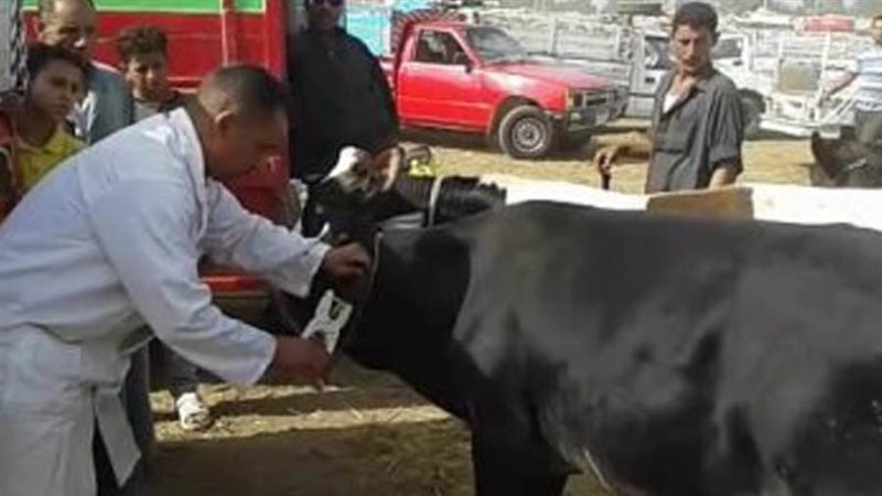 محافظ بنى سويف