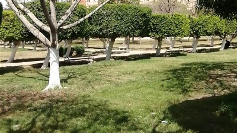 المتنزهات والشولرع