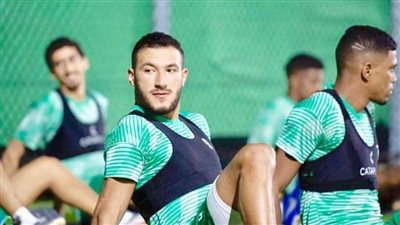 عمرو رضا لـ