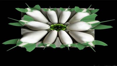 #الريشة_في_مواجهة_كورونا 