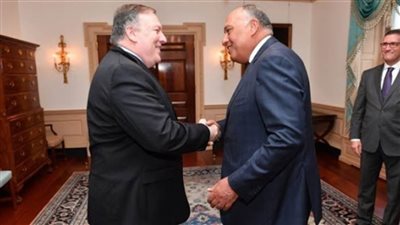 وزير الخارجية الأمريكي يشكر مصر على تقديم إمدادات طبية للولايات المتحدة
