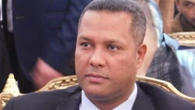 قيادي بمستقبل وطن: ذكرى تحرير سيناء تذكرنا بأروع أمثلة التضحية والدفاع عن الأرض