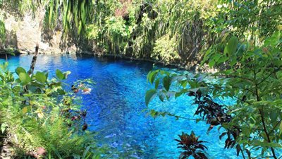 من عجائب الطبيعة.. النهر الشفاف بالفلبين 