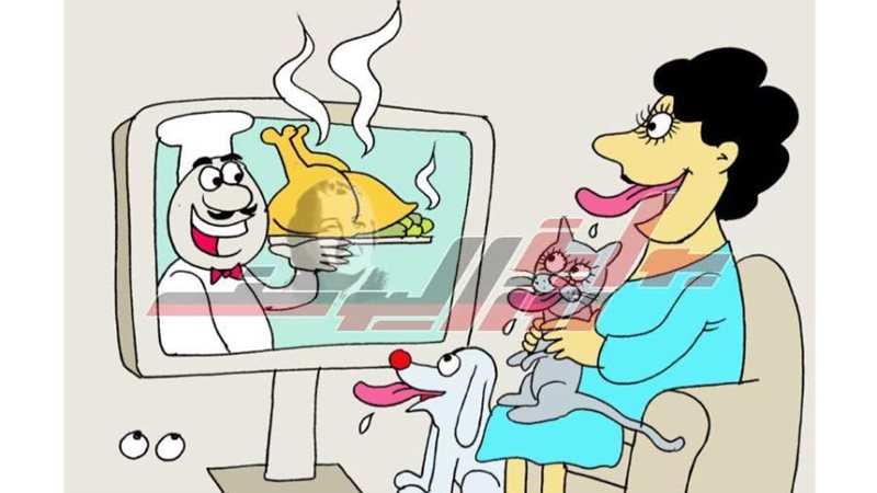 بوابة روز اليوسف