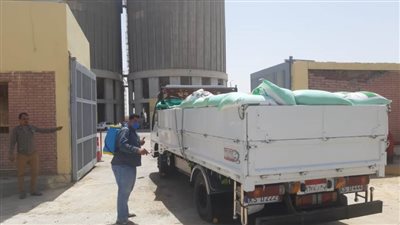 محافظ البحيرة: انتظام توريد 201616 طنا للصوامع والشون