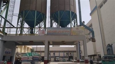 صوامع وشون المنيا تستقبل 16152 طنًا من القمح 