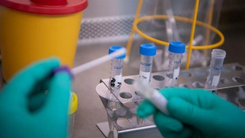 صورة أرشيفة