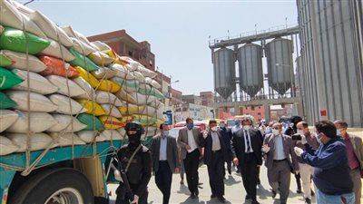 توريد 33440 طناً من القمح للصوامع والشون بالبحيرة