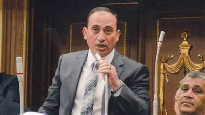   وكيل نقل البرلمان: مسلسل 