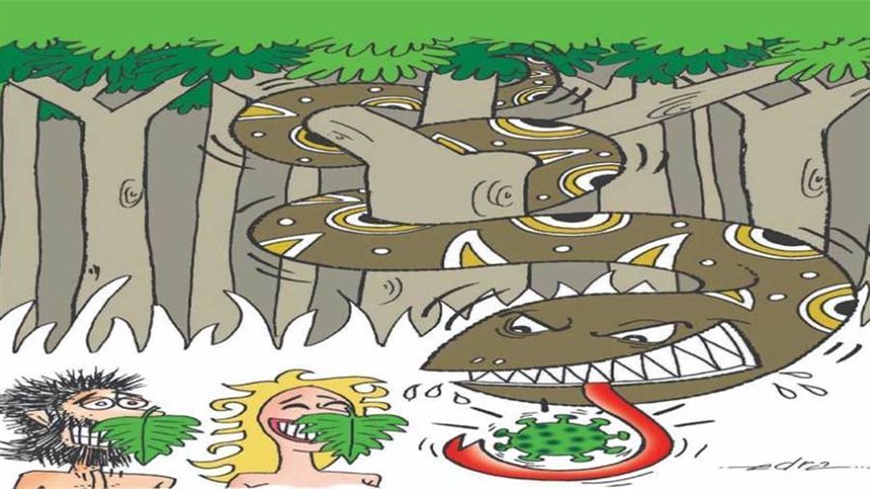 بوابة روز اليوسف