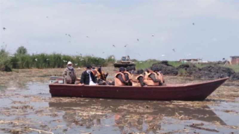 بوابة روز اليوسف