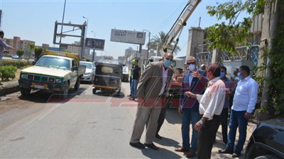 قليوب تتجمل بالأشجار 