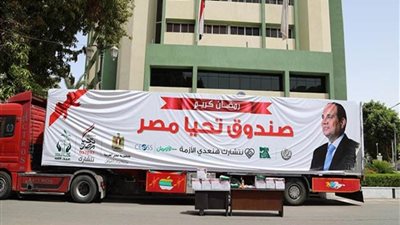 محافظ قنا يتابع تنفيذ مبادرة صندوق تحيا مصر 