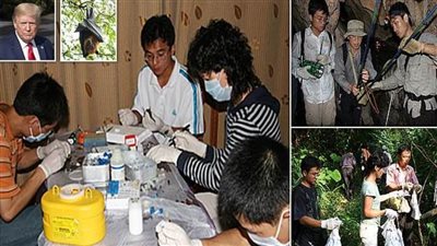  اتهام الصين بإخفاء أدلة تسرب فيروس كورونا من مختبر 