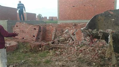 إزالة ٣٤٧ حالة تعدٍ على الأراضي الزراعية وأملاك الدولة بالدقهلية