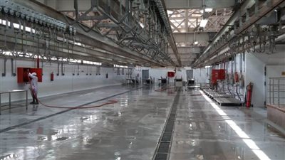 استعدادات لافتتاح مجزر 15 مايو