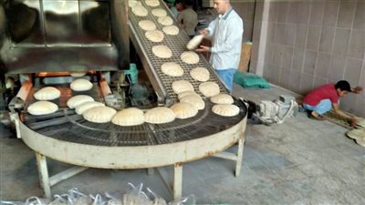 تحرير 17 محضرًا في حملة تموينية مفاجئة بالبحيرة