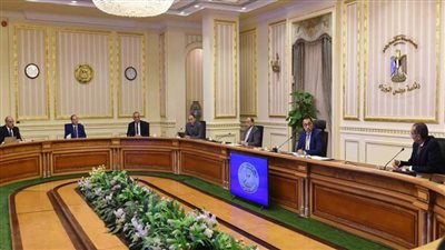 الحكومة توافق على تخصيص 100 مليون جنيه لشركة مصر للطيران