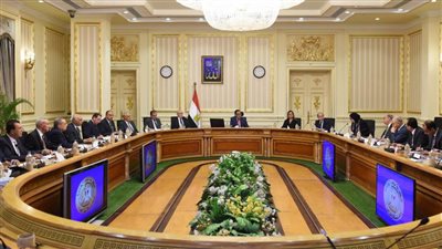 الحكومة توافق على تعاقد عدد من الشركات لشراء المستلزمات الطبيه لمواجهة أزمة كورونا 