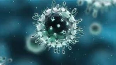 تأكيد جديد..هل يقلل الطقس الحار من خطر فيروس كورونا؟