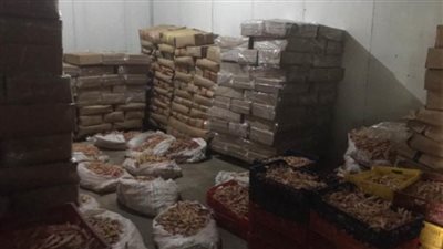 مباحث التموين تضبط 12 طن أرجل دجاج داخل مخزن