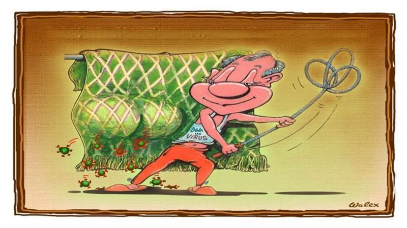 بوابة روز اليوسف