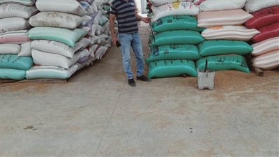 توريد 233680 طن قمح بصوامع وشون البحيرة