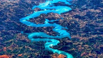 صورة فوتوغرافية تعيد الحياة إلى التنين الأزرق 