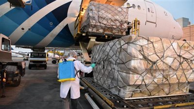 في الذكرى الـ64 للعلاقات الدبلوماسية.. مساعدات صينية لمصر