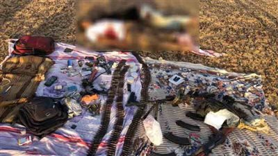 مصرع إجراميين في تبادل لإطلاق النار مع الشرطة