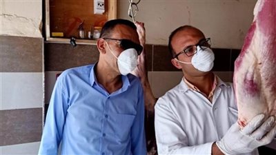 ضبط 360 كيلو لحوم مذبوحة خارج المجازر بالدقهلية