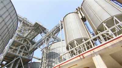 توريد 260353 طن قمح للشون والصوامع بالبحيرة